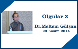 olgu3-meltemgulsan